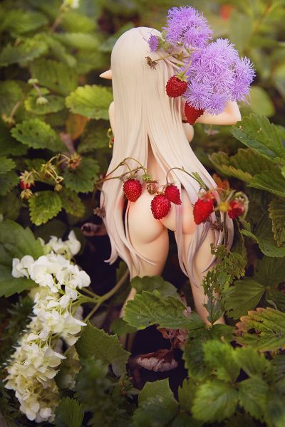 女皇之刃 美丽女斗士们 阿莱茵