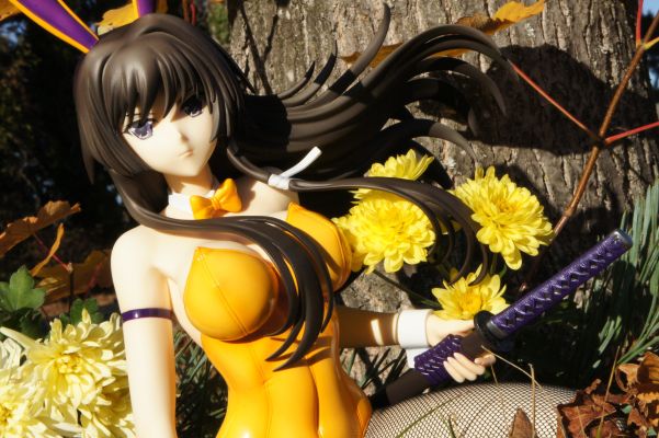 B-style MUV-LUV Muv-luv Total Eclipse 篁唯依 兔女郎版