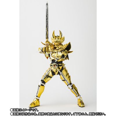 S.H.Figuarts(真骨雕制法) 牙狼 黄金骑士牙狼（冴岛钢牙）