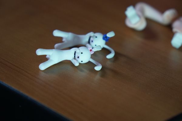 偶像大师2 水瀬伊織 プリンセスメロディ♪Ver.