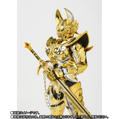 S.H.Figuarts(真骨雕制法) 牙狼 黄金骑士牙狼（冴岛钢牙）