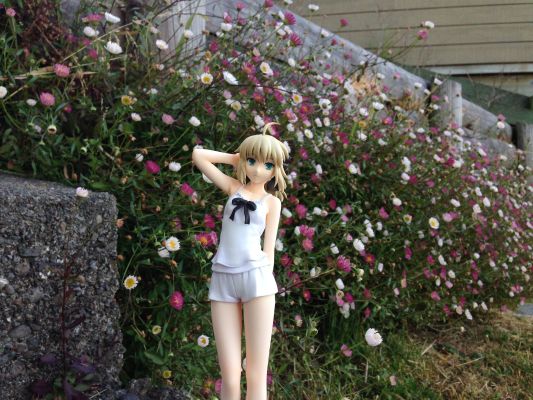 Fate/stay night SABER Summer Ver.
