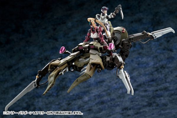 六角机牙 机牙将 Para-Pawn LAT Mirror