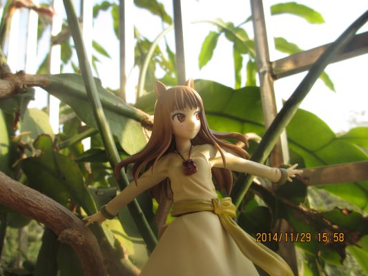 狼与香辛料 赫萝 新装版