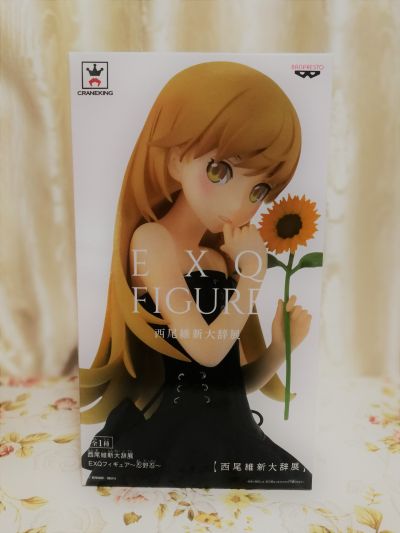 EXQ手办 忍野忍