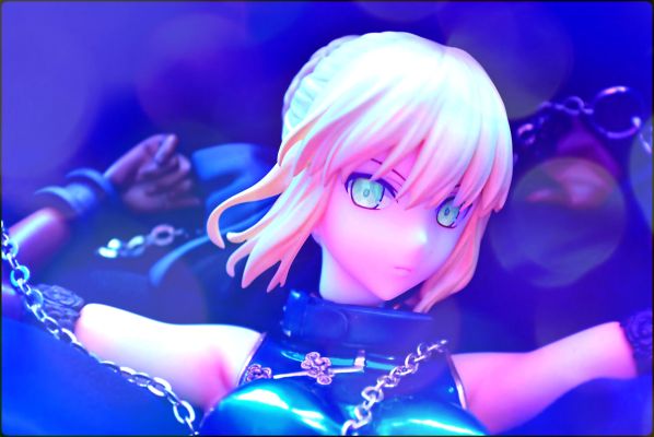 猫星球 猫和椅子