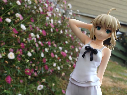 Fate/stay night SABER Summer Ver.