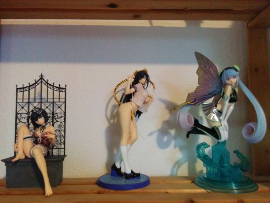 水手虎  虎岛瑞希