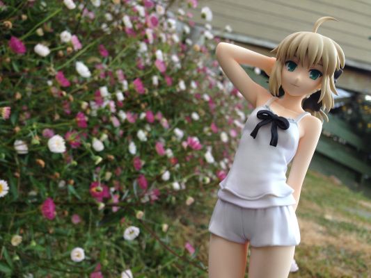 Fate/stay night SABER Summer Ver.