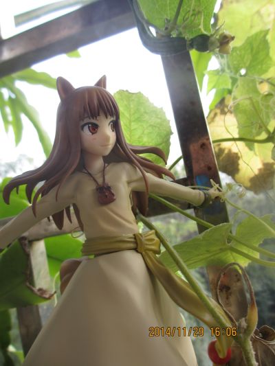 狼与香辛料 赫萝 新装版