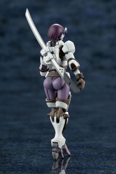 六角机牙 机牙将 Para-Pawn LAT Mirror