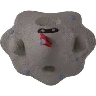 モンコレEx S 口袋妖怪サン&ムーン スナバァ 