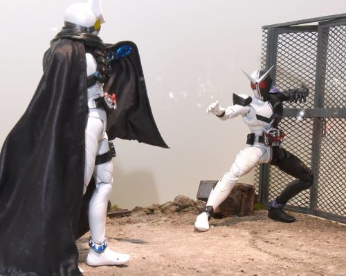 S.H.Figuarts(真骨雕制法)   假面骑士永骑