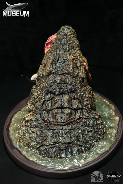 博物系列 尼罗鳄捕食汤氏瞪羚