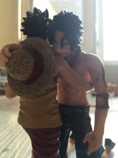 造形师×写真家 海贼王 青雉 