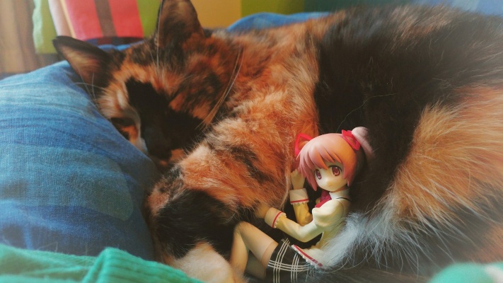 SQ系列 剧场版 魔法少女小圆 叛逆的物语 鹿目圆香 Relax time 