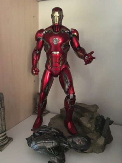 造形师×写真家 海贼王 青雉 