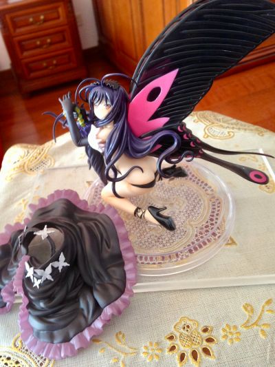 加速世界 黑雪姬 回头的黑扬羽蝶