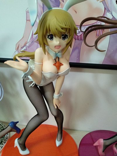 B-style IS〈无限斯特拉托斯〉 夏洛特・迪诺亚 兔女郎