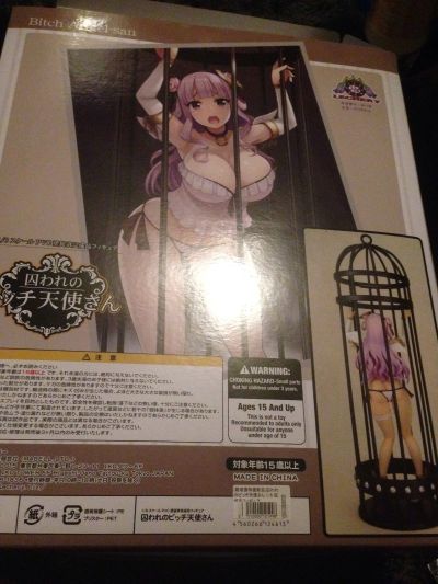 被囚禁的bitch天使