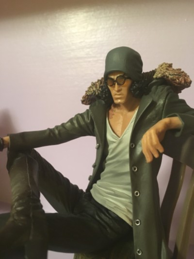 造形师×写真家 海贼王 青雉 