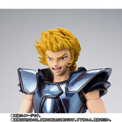 圣斗士圣衣神话  地狱犬达狄