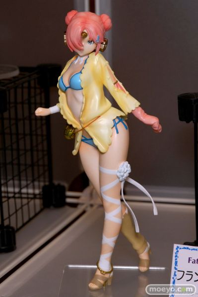 Fate/Grand Order 弗兰肯斯坦