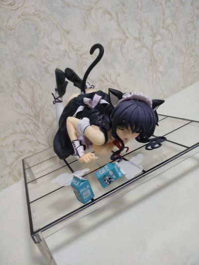 CAT LAP MILK