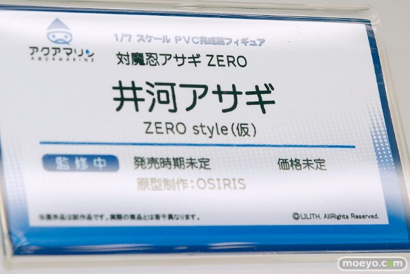 对魔忍阿莎姬ZERO 井河阿沙姬 