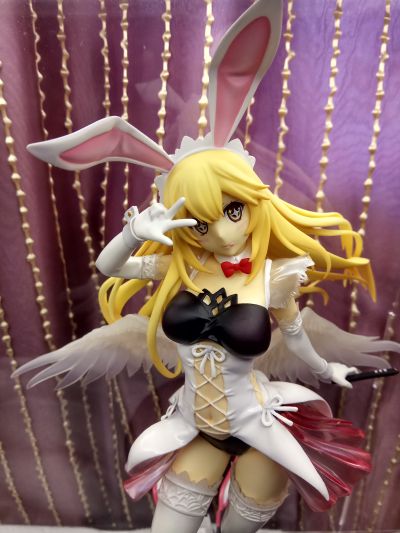 某科学的超电磁炮(Railgun) 食蜂操祈