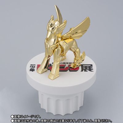 圣闘士圣衣神话APPENDIX 圣闘士星矢 Jump 50th Anniversary Edition (Gold ver.) 