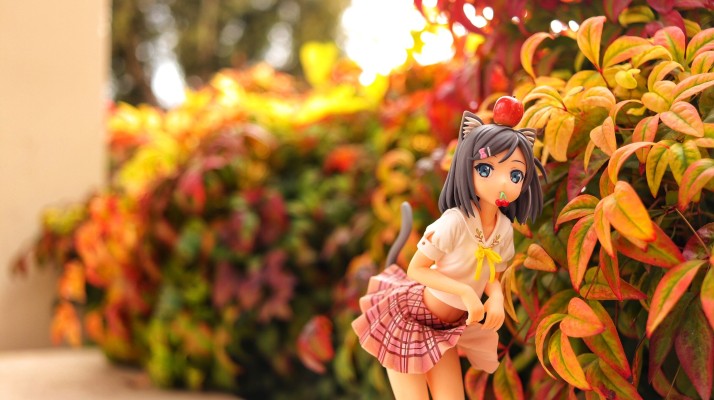 变态王子与不笑猫 筒隐月子