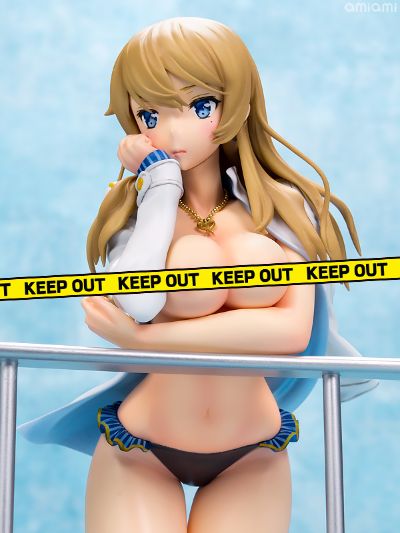 Avian Romance 海鸥