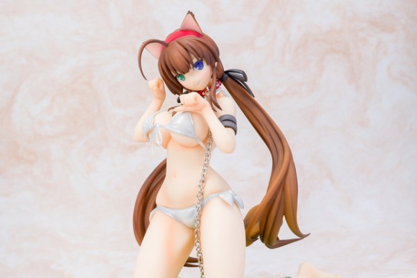 闪乱神乐：SHINOVI VERSUS -少女们的证明- 两备