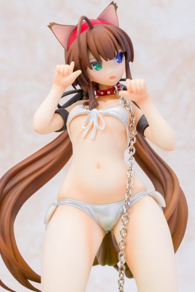 闪乱神乐：SHINOVI VERSUS -少女们的证明- 两备