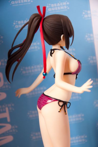 BEACH QUEENS 大图书馆的饲羊人  樱庭玉藻 