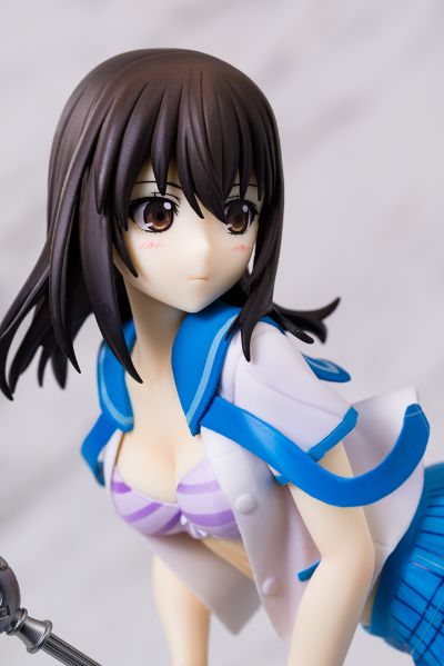 噬血狂袭  姬柊雪菜