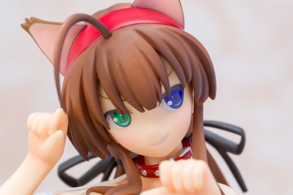 闪乱神乐：SHINOVI VERSUS -少女们的证明- 两备