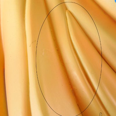 闪乱神乐 -少女们的真影- 葛城