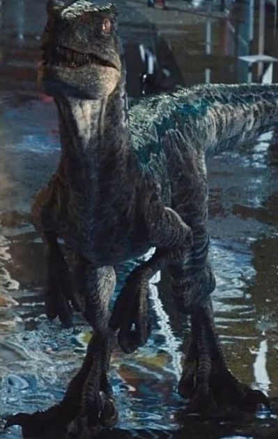 一番赏 ジュラシック・ワールド/炎の王国 蓝色 Last One ver. 