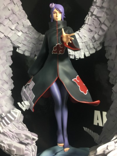 造形师×写真家 海贼王 青雉 