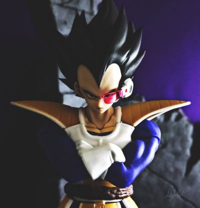 S.H.Figuarts 龙珠Z 贝吉塔 