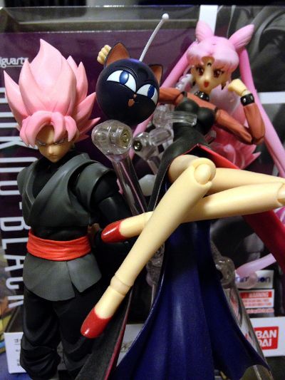 S.H.Figuarts 黑色淑女