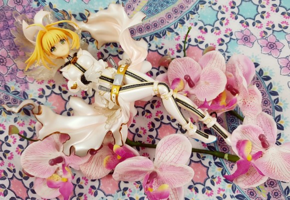 Saber Bride 通常版