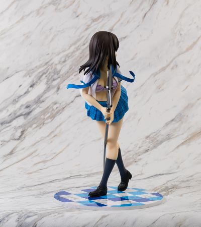 噬血狂袭  姬柊雪菜