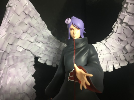 造形师×写真家 海贼王 青雉 