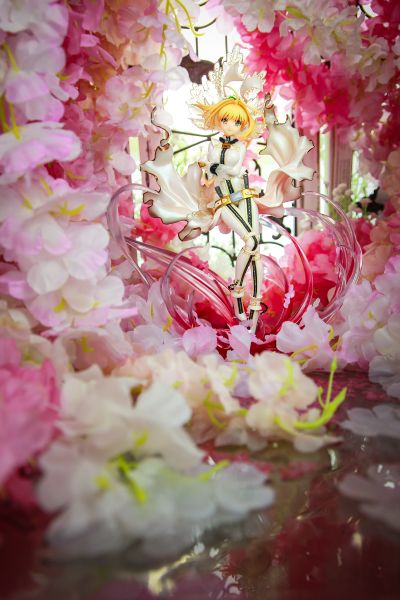 Saber Bide 特典版