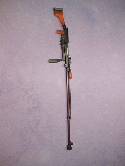 伊妮亚・谢斯切娜 泳装Ver.