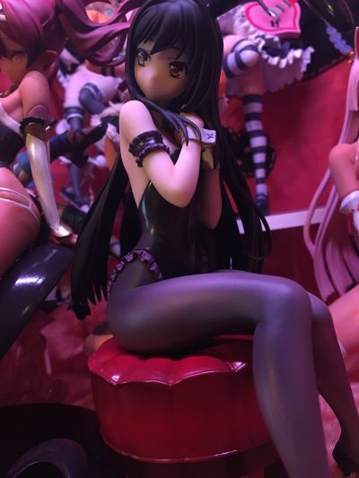 加速世界 黑雪姬 兔女郎