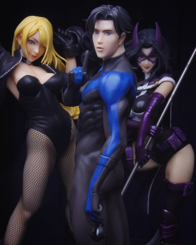 DC COMICS美少女 DC UNIVERSE 黑金丝雀 黑金丝雀